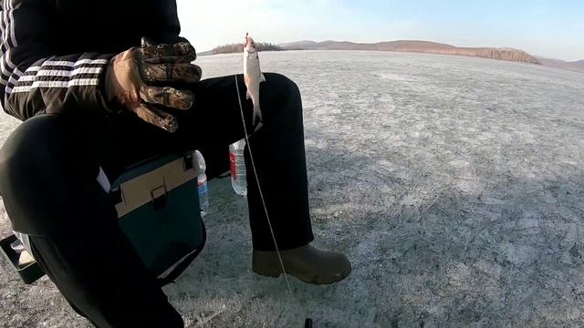 Рыбалка, последний лёд, озеро Аргази, Миасс смотреть онлайн