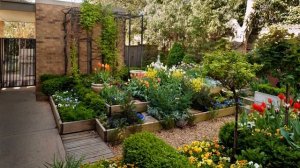 50 + ИДЕЙ . ОЗЕЛЕНЕНИЕ УЧАСТКА ПЕРЕД ДОМОМ ???????