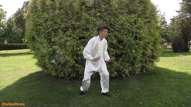 10 Simple Tai Chi Exercises In 10 Minutes - Daily Tai Chi For Beginners