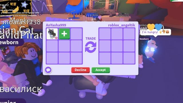 ЧТО ДАЮТ ЗА РАЙД ПЕРСИДСКУЮ КОШКУ В Adopt Me Roblox! ЦЕНИТСЯ ЛИ ОНА ВООБЩЕ? смотреть онлайн