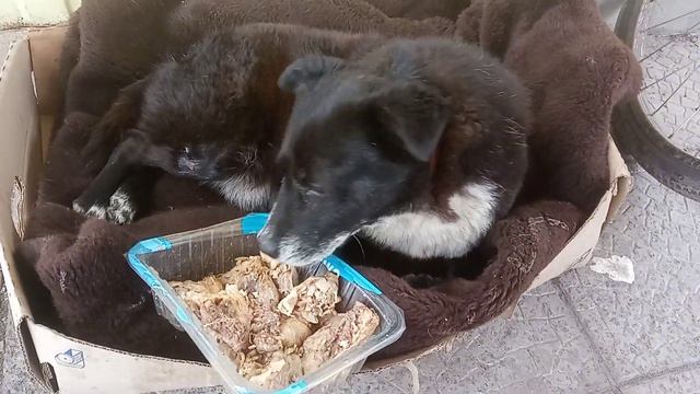 Обед у Топуси продолжается!!! смотреть онлайн