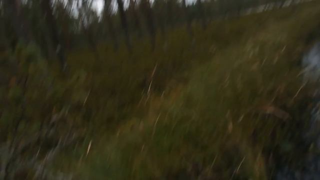 Второй день рыбалки. Ловля на самоловку. Щука на живца смотреть онлайн