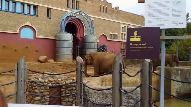 Московский зоопарк. Часть 2 (старая территория). Moscow zoo. Moskauer zoo. Zoo de Moscou. 动物园. смотреть онлайн