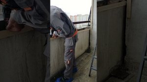 сетка от голубей