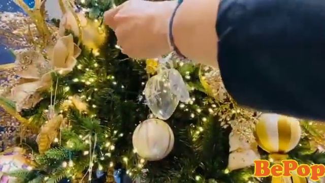 Daniela Ricci accoglie il Natale con scintillanti novità! смотреть онлайн