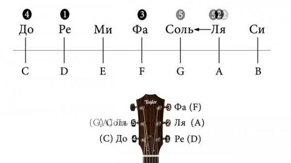 ГИТАРНЫЙ СТРОЙ | Drop C, Drop D и т.д.