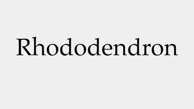 How to Pronounce Rhododendron смотреть онлайн