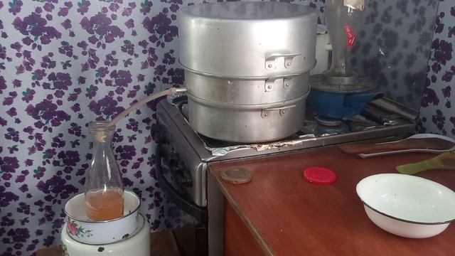 Заготовка на зиму #Домашний Живчик#Прячу в банки все что попадает под руки # Танюшкины вкусняшки смотреть онлайн