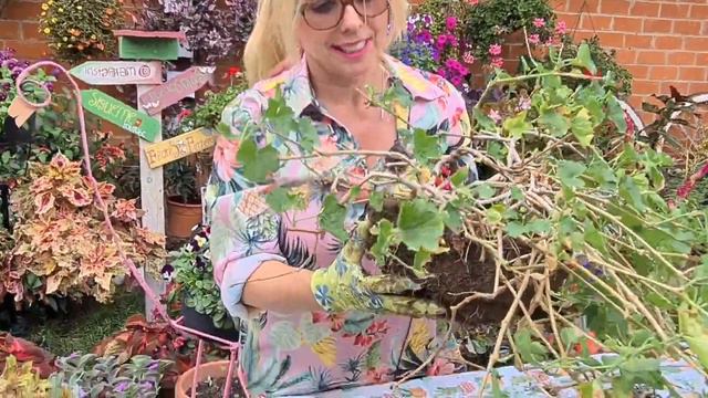 PODA DE GITANILLA para tener un patio de concurso en primavera 🌹 como el mío 🌹🎶 смотреть онлайн