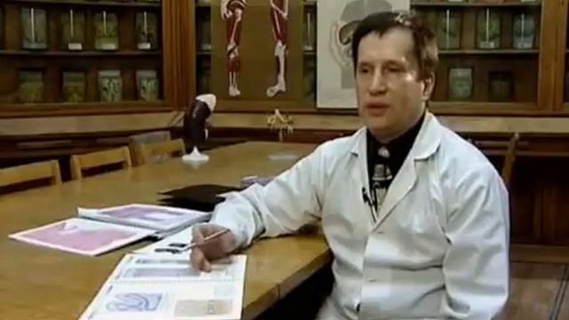 Тело человека: ткани, паренхима, строма. смотреть онлайн
