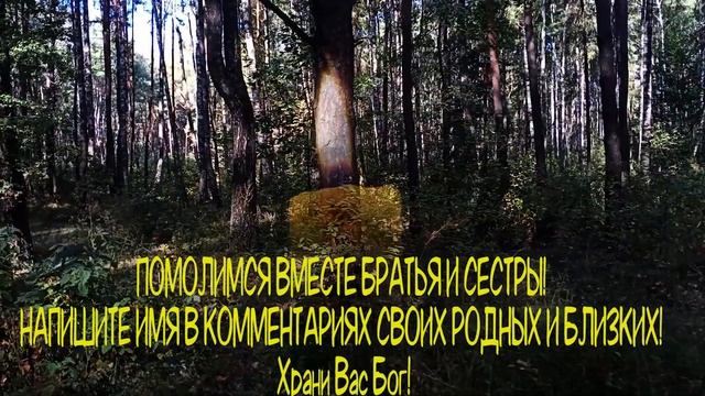 ???ПОЖАЛУЙСТА НЕ ПРОПУСТИ ЭТУ МОЛИТВУ. Вечерние Молитвы на Ночь??? смотреть онлайн