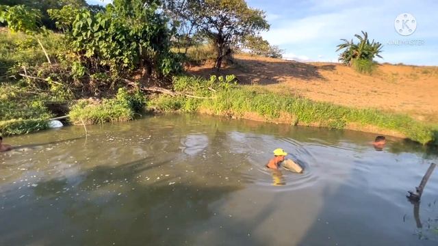 Fishing Trip / Fish Pond смотреть онлайн