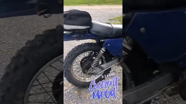Suzuki TS 250