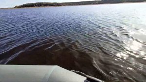 лодочный мотор HDX 4 глиссирование