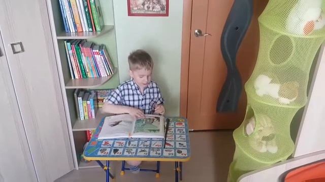 В.Сутеева "Палочка-выручалочка" смотреть онлайн