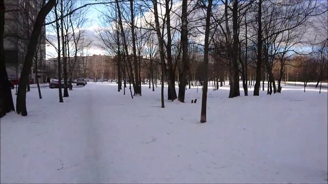 ДАВАЙТЕ ПОГУЛЯЕМ. // ЧТО НУЖНО ДЛЯ СЧАСТЬЯ ? смотреть онлайн