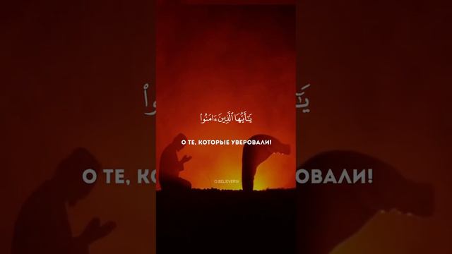 Сура 2 Аль-Бакара. Красивое чтение Корана смотреть онлайн