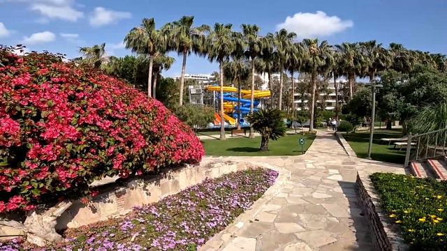 ARUM BARUT COLLECTION SIDE TURKIYE