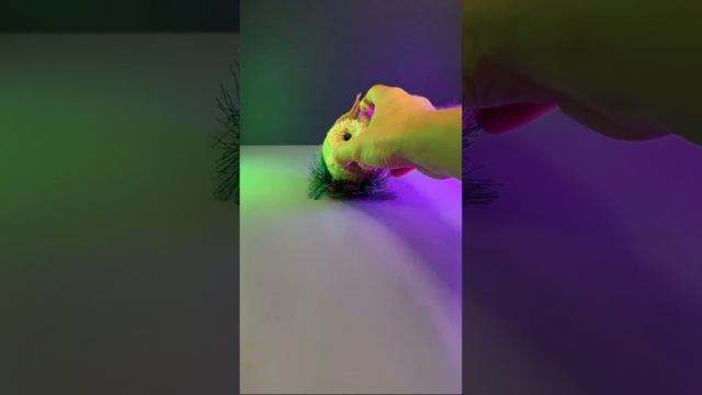Дитяча фотокамера моментального друку Funny Animals M2 смотреть онлайн