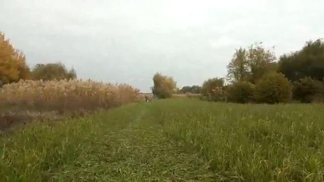 Тз4к14 с родной сегментной косой смотреть онлайн