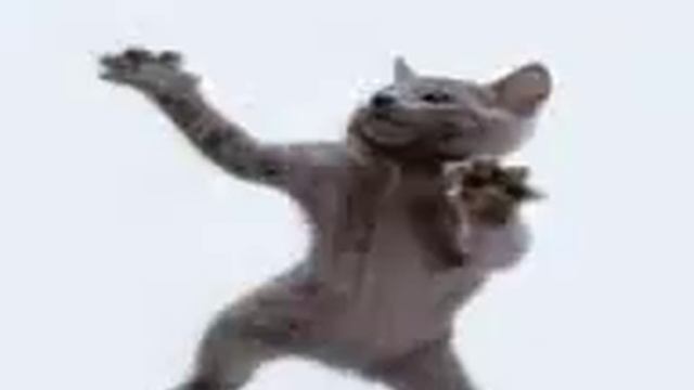 Кошки танцуют!* смотреть онлайн
