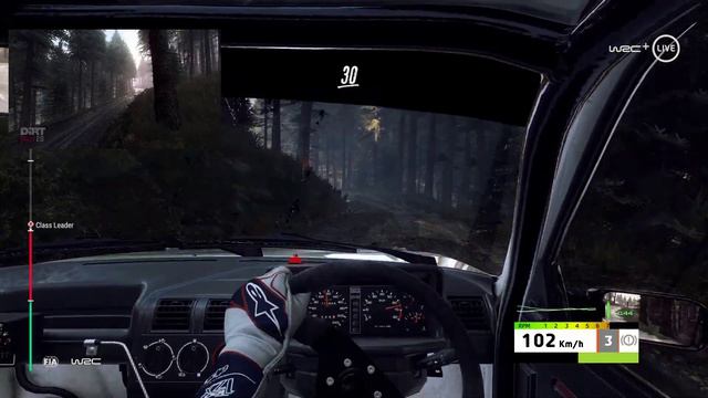 Peugeot 205 GTI@ Whales (RALLY)