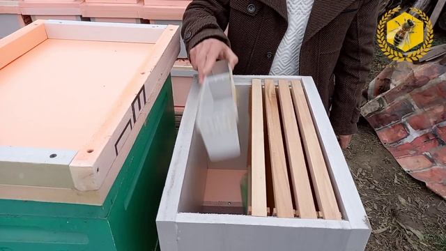 Быстрое развитие пасеки смотреть онлайн