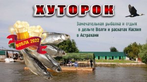Вобла. Рыболовно-охотничья база ХУТОРОК. Астрахань.