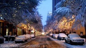 Жена отдала надоевшего мужа соседке и уехала с его другом на море. А когда она вернулась домой...