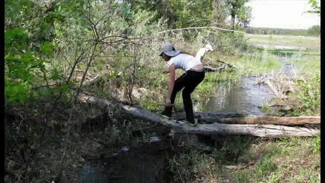 летом в лесу