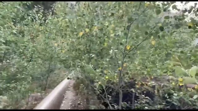 Алма-Ата 2019/ Поход в горы/ Горельник/ Медео/ смотреть онлайн