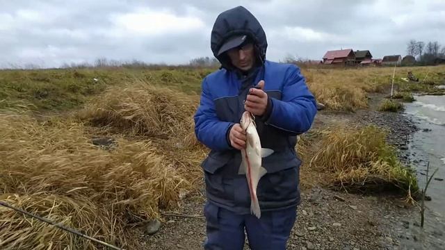Лещ.Рыбалка.Фидер.Слом погоды.Как поймать леща в ноябре. смотреть онлайн