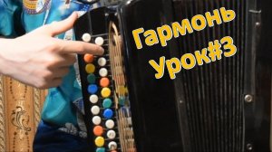 Уникальная разметка кнопок гармони! 7 нот и 7 основных музыкальных цепочек. Секрет удобства. Урок №3