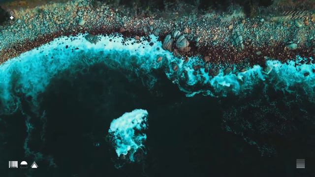 Dark August by Derek Walcott смотреть онлайн