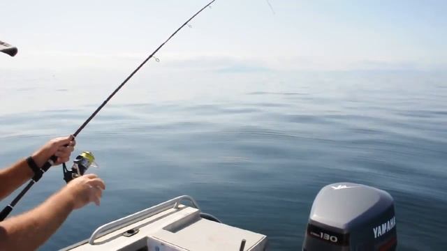 Snapper 12lb Hauraki Gulf 2010 On Gulp Soft Baits смотреть онлайн