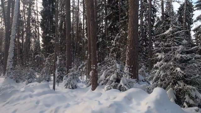 Линдуловская роща зимой. / Lindulovskaya grove winter fairy tale смотреть онлайн