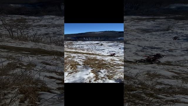 Залетел смотреть онлайн