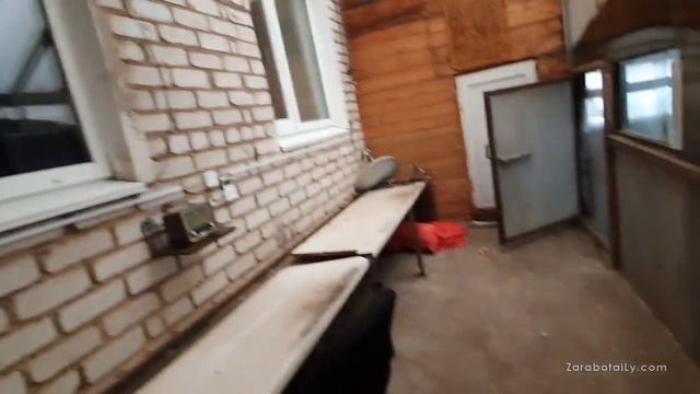 Хранение лука, выгонка 2019 - сорт Штутгарт, Стардаст смотреть онлайн