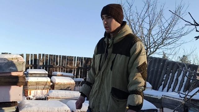 Синички на пасеке. Зима вернулась в Ивановскую область смотреть онлайн