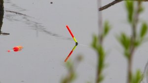 ВЕСЕННИЙ КАРАСЬ 2024!РЫБАЛКА НА ПОПЛАВОК на диком ОЗЕРЕ