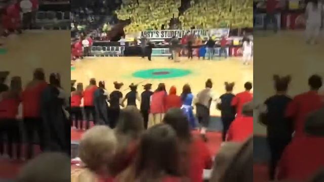groovy shoes win смотреть онлайн