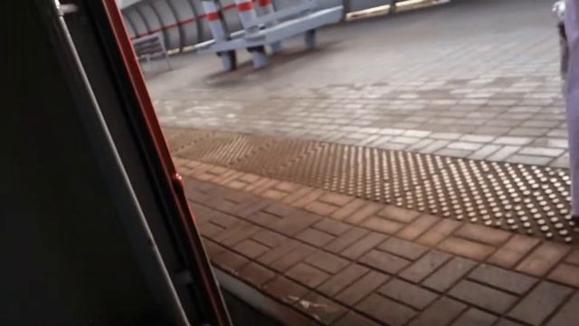 Электропоезд ЭД4М, Участок Подпилки-дачные - Ярославский вокзал (Ярославское направление) смотреть онлайн