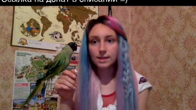 Болезни попугаев. Что с голубчиком? Как лечить волнистого попугая? смотреть онлайн