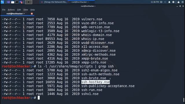 [HINDI] Nmap Scripting Engine Overview | Working with NSE Scripts смотреть онлайн