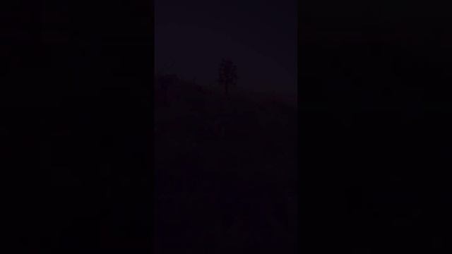 Крымские пионы смотреть онлайн