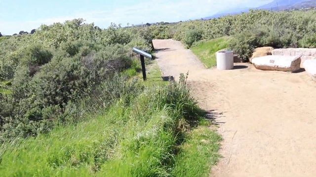 Santa Barbara Coastal Birds смотреть онлайн
