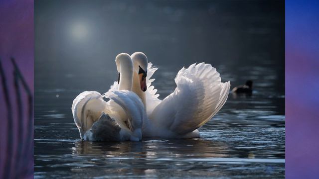 §17 "Координация и регуляция", Биология 6 класс, Сивоглазов смотреть онлайн