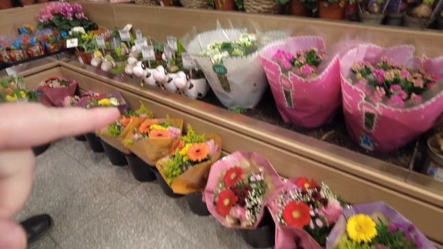 Насекомые в продуктах/Распаковка подарка#потерянныепосылки#влогиизгермании#нашажизньвгермании смотреть онлайн