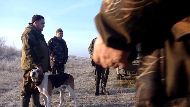 рпг А Дунай Вобликова В А состязания Саратов 2017 смотреть онлайн