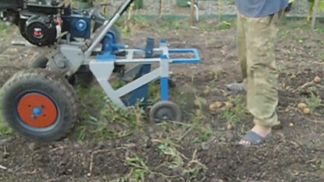 Модернизированный мотоблок КРОТ и самодельная картофелекопалка без грохота. смотреть онлайн